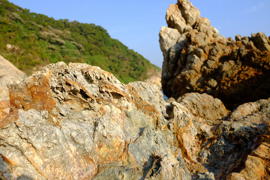 东西涌风景