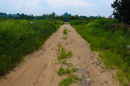 乡间小路
