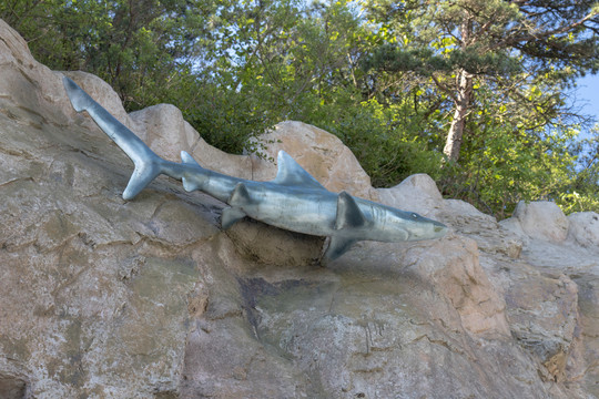鲨鱼雕塑