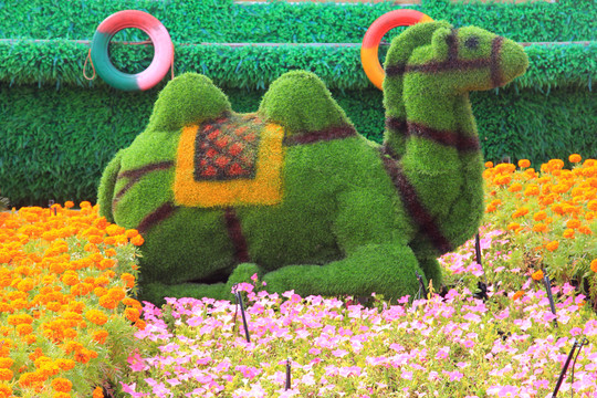 骆驼绿植制作