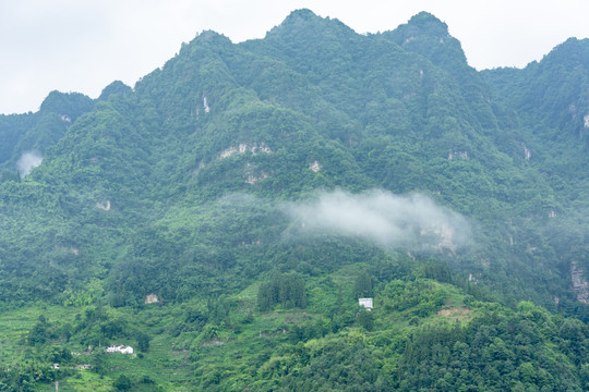 青山