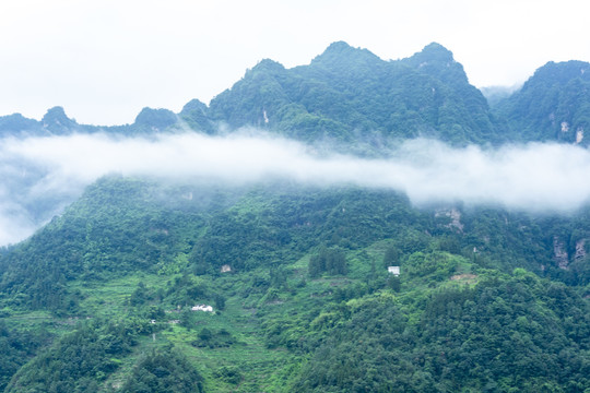 青山