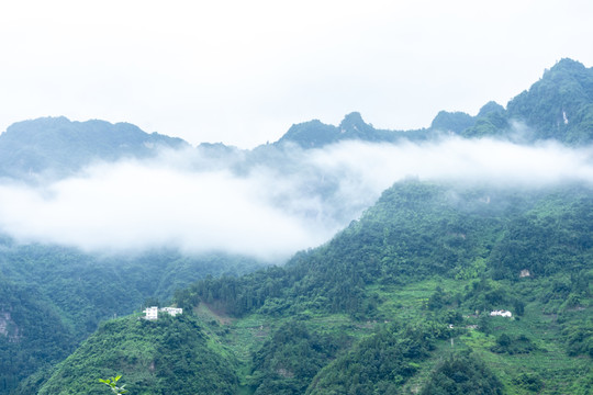 青山