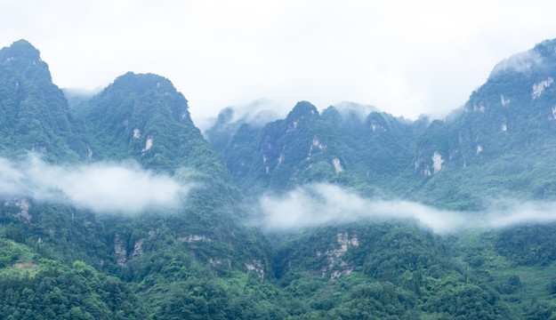 青山