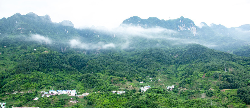 青山