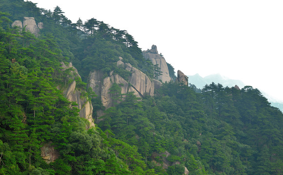 高山森林