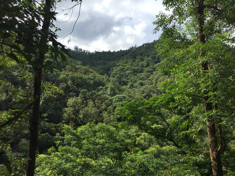 国家森林公园圭峰山美景