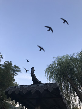 大明湖