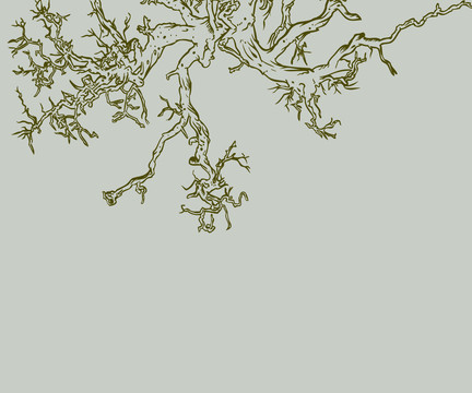 树苗