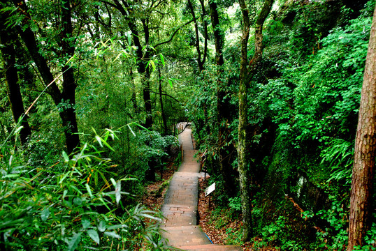 山道