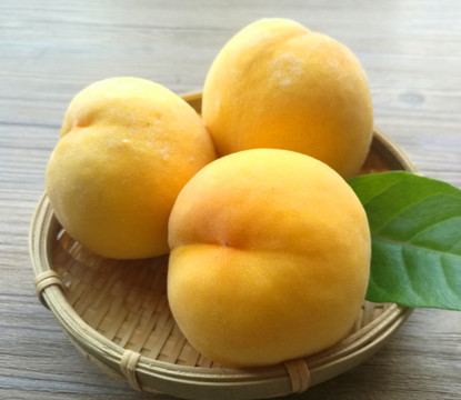 黄毛桃