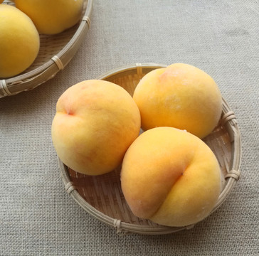 黄毛桃