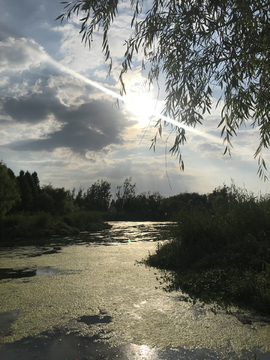 湿地公园