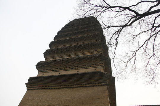 陕西西安小雁塔景区