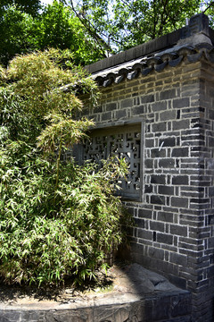 绿植灰砖墙