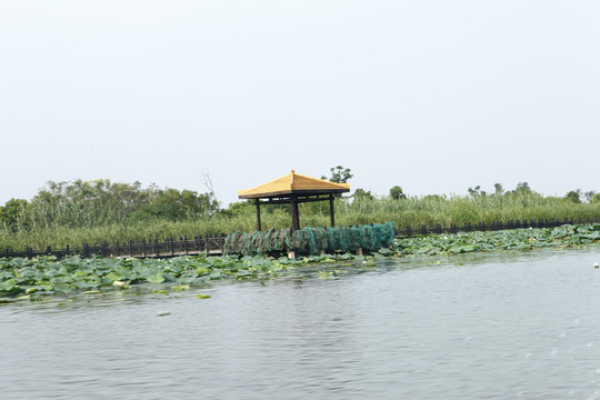 阳澄湖风光