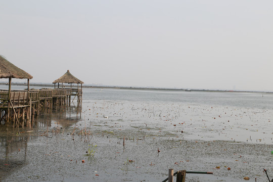 阳澄湖风光