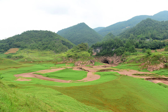 草甸草地