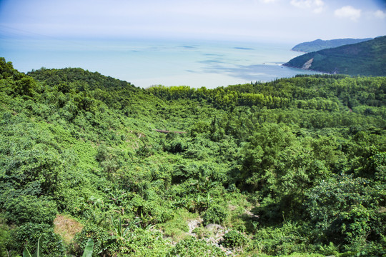 越南灵姑湾海岛风景