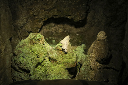 山洞苔藓