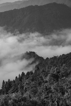 水墨山水