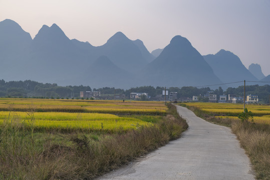 乡村路