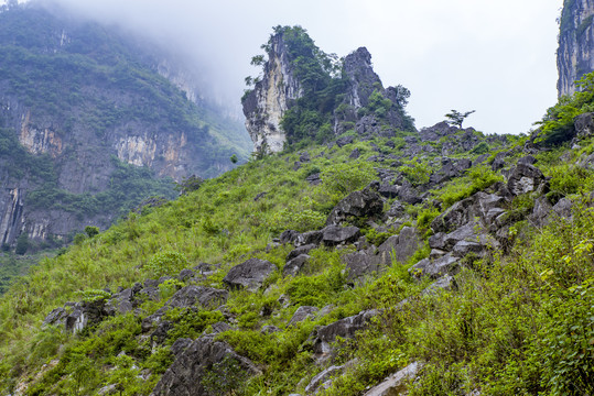 大石山区风景