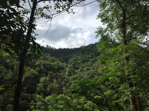 新会圭峰山风景