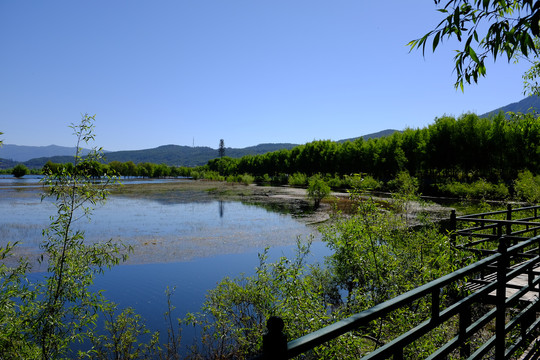 拉市海湿地公园