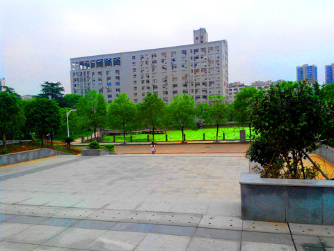 学校风景