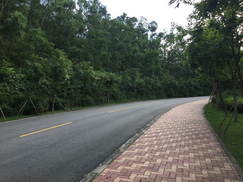 圭峰山景区道路