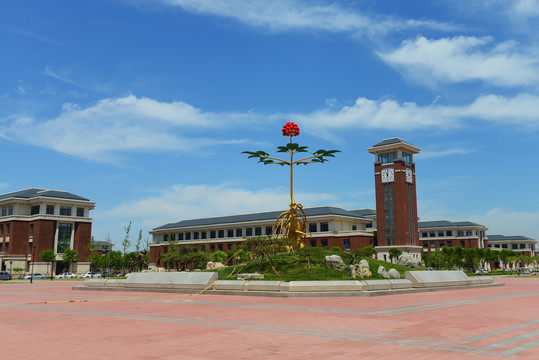 天津中医药大学人参