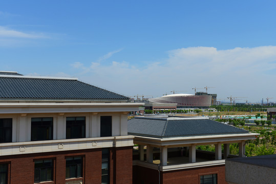 天津中医药大学屋顶