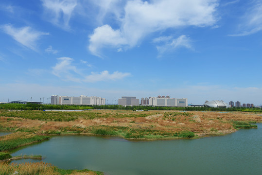 天津中医药大学