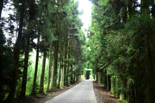 湖北恩施市富尔山山林山区