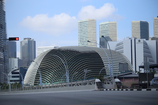 新加坡大榴莲建筑