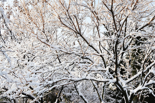 冰天雪地