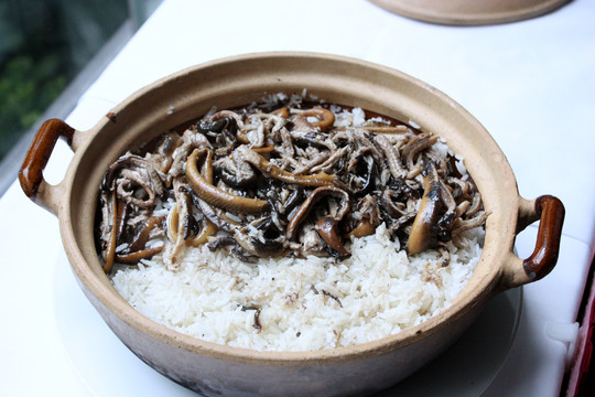 恩平生煲黄鳝饭