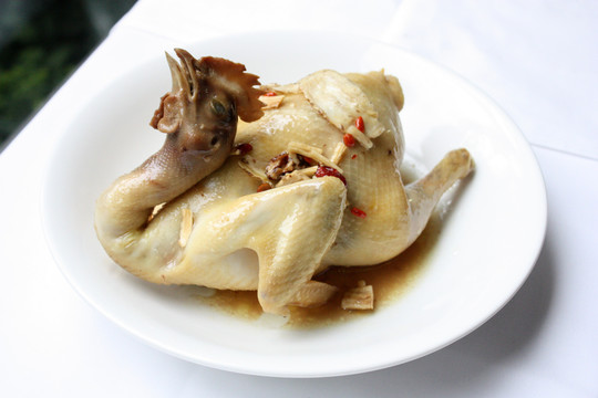 原只炖鸡