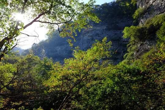 秦岭风景