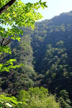 秦岭风光