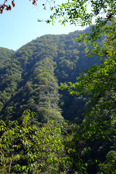 秦岭风光