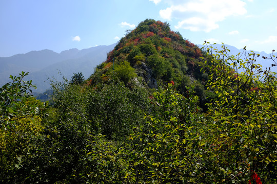 秦岭风光