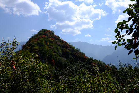 秦岭风光