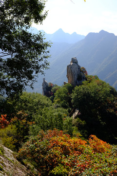 秦岭风光