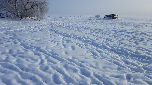 雪