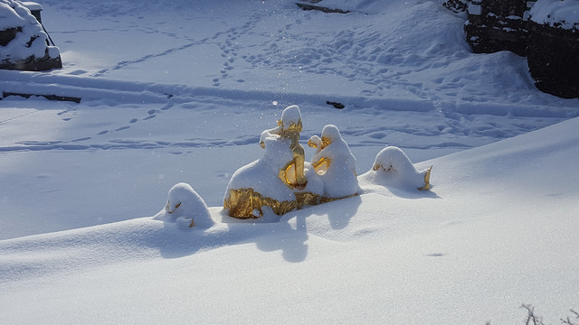 冰雪中的夏宫