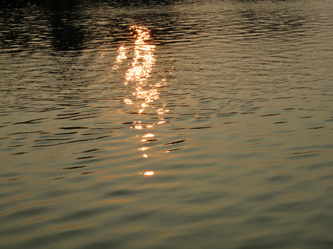夕阳河流