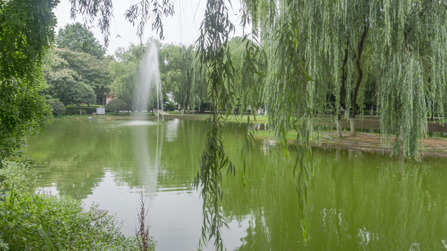 景区水景