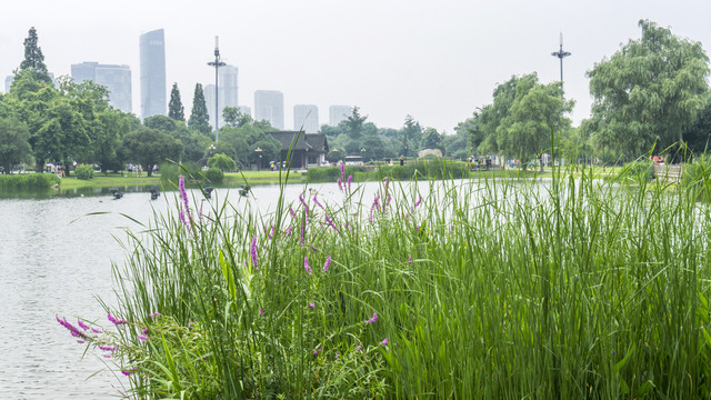美丽风景